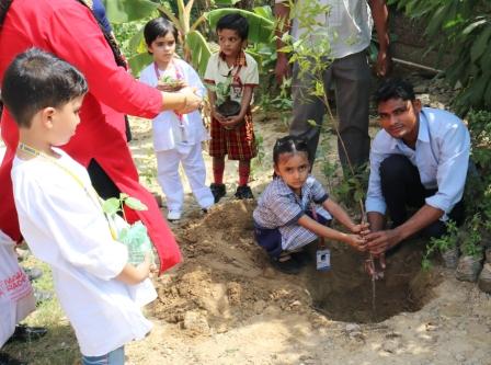 Plant a Tree….Save the Earth